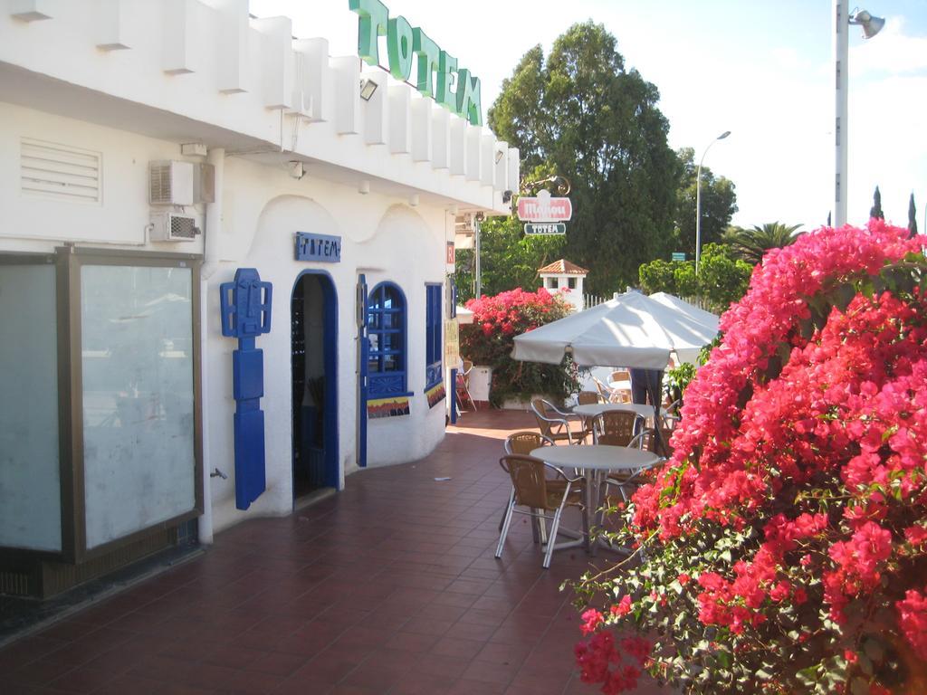 Elana Apartment With Free Wifi Costa Del Silencio Exterior photo